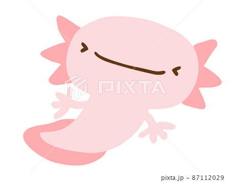 ウーパールーパーのイラスト素材集 ピクスタ