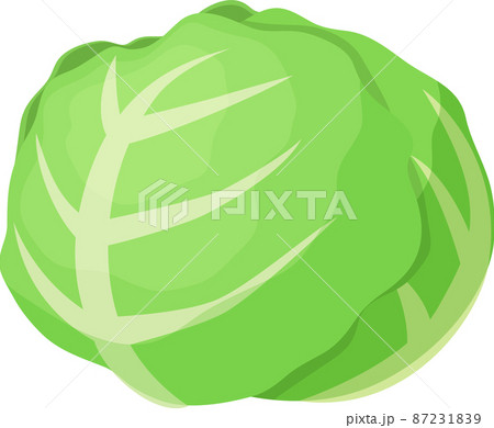 キャベツのイラスト素材集 ピクスタ