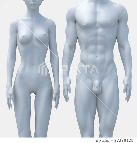 男女性器画像 ファイル:男性器と女性器の比較.jpg - Wikipedia