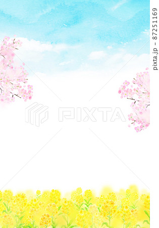菜の花畑のイラスト素材