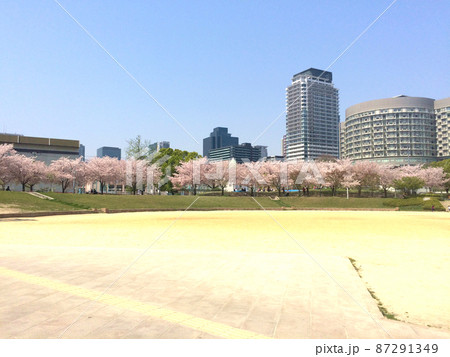 都市風景 扇町公園 桜 公園の写真素材