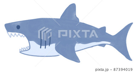 サメ シャーク 鮫 口のイラスト素材