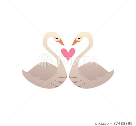 つがい 白鳥 ハート カップルのイラスト素材