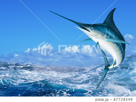 カジキマグロ メキシコ湾での海釣り中に危機一髪！ 飛び乗ったカジキが男性を襲う