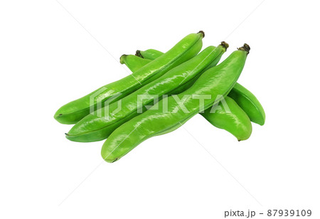 そら豆のイラスト素材集 ピクスタ そら豆のイラスト素材集 ピクスタ