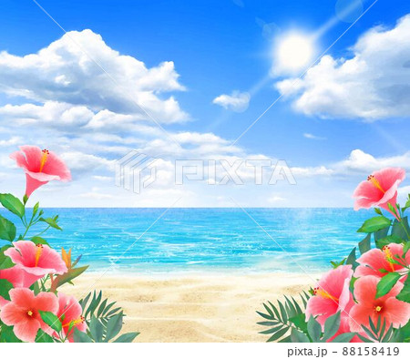 浜辺 海 海岸 お花のイラスト素材 - PIXTA
