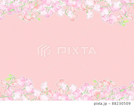 スイートピー 花 手描き ピンクのイラスト素材 - PIXTA