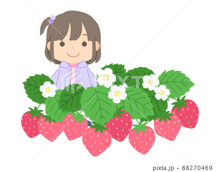 いちご イチゴ 苺 女の子のイラスト素材 - PIXTA