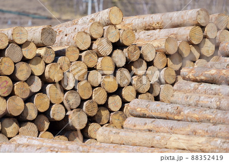 木材 断面 集積 建築資材の写真素材