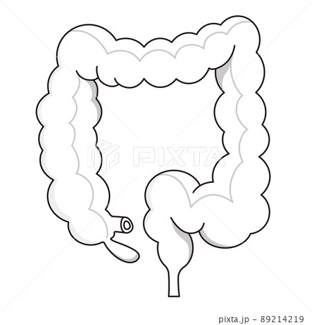 大腸のイラスト素材