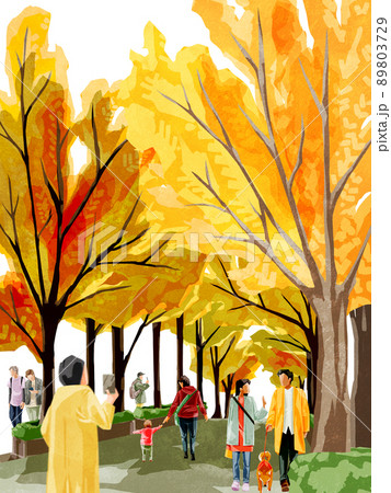 秋 並木道 紅葉 水彩の写真素材 - PIXTA