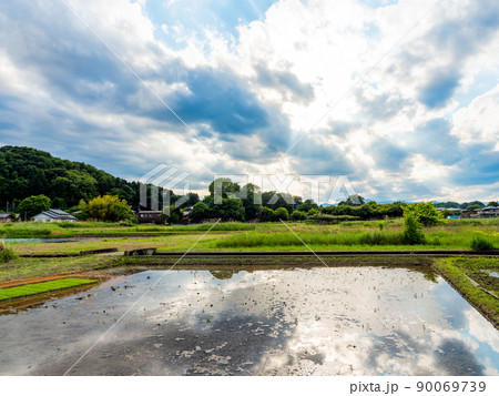 田園 田舎 田 八王子市の写真素材