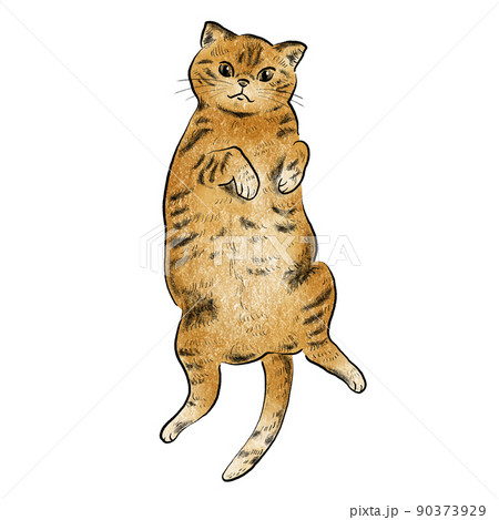 茶トラのイラスト素材