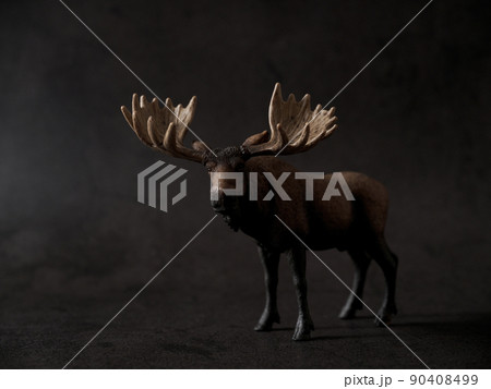 ヘラジカの写真素材 - PIXTA ヘラジカの写真素材 - PIXTA