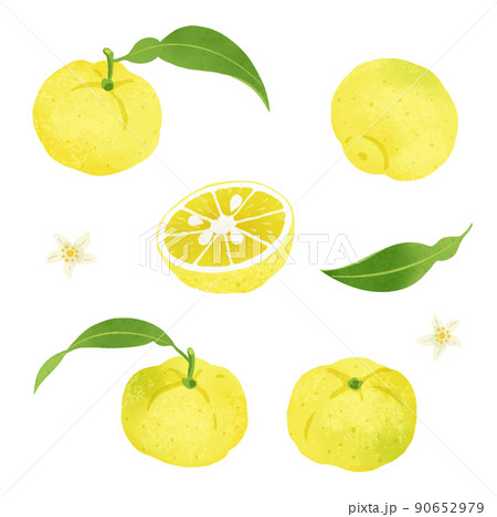 ゆずのイラスト素材集 ピクスタ ゆずのイラスト素材集 ピクスタ