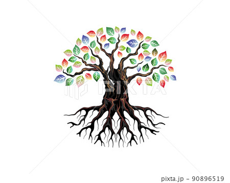 オリーブ 植物 枝葉 幹のイラスト素材