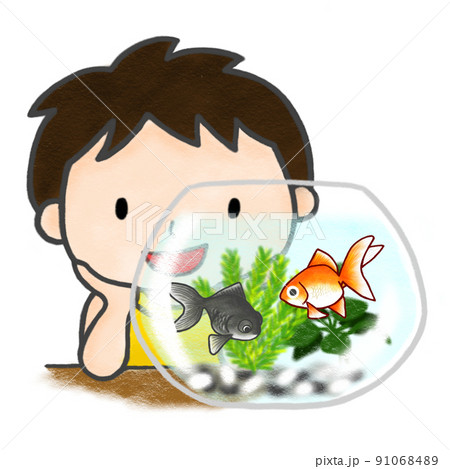 色鉛筆手描きイラスト 金魚鉢を眺める男の子のイラスト素材