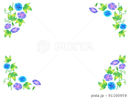 朝顔の葉っぱのイラスト素材