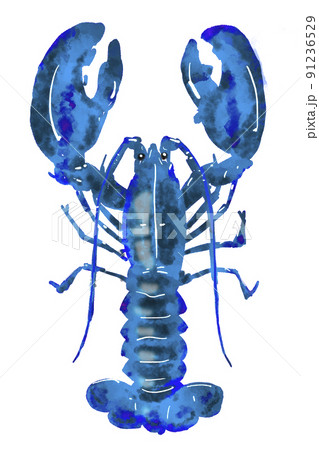 Crawfishのイラスト素材