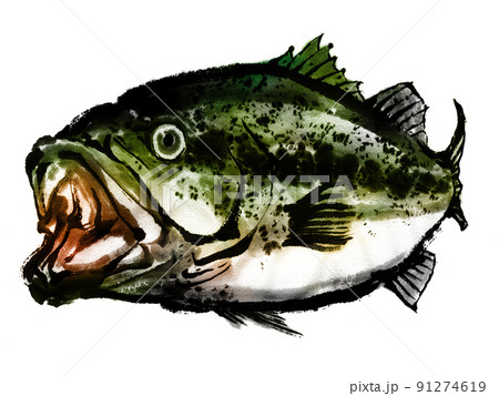 墨絵 魚 イラストの写真素材