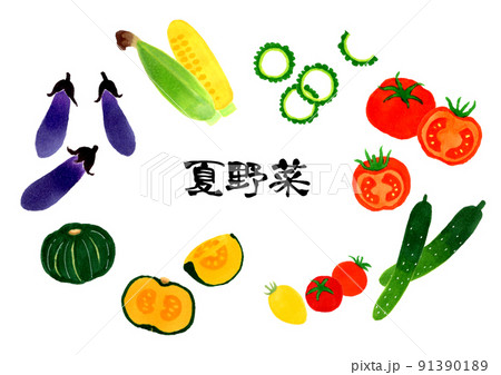 夏野菜のイラスト素材