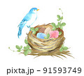 青い鳥と鳥の巣の水彩画のイラスト素材 [91593751] - PIXTA