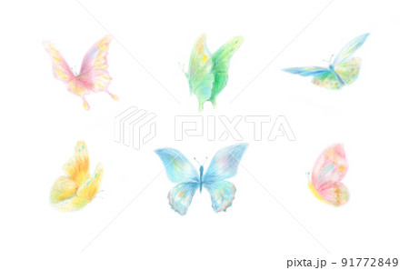 羽ばたく蝶の写真素材 - PIXTA