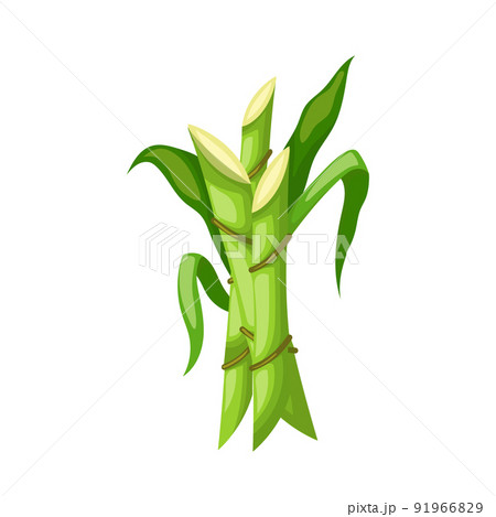 サトウキビ畑のイラスト素材