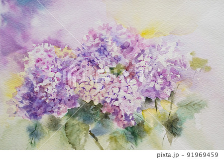あじさい寺のイラスト素材