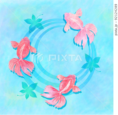 金魚のイラスト素材集 ピクスタ