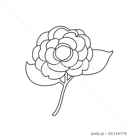 花 白黒 一輪のイラスト素材