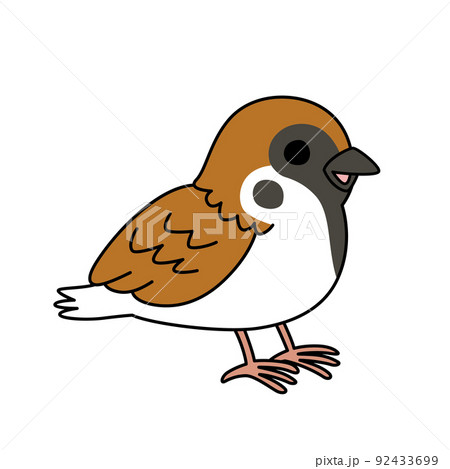 雀のイラスト素材