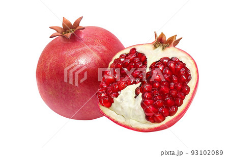 柘榴のイラスト素材