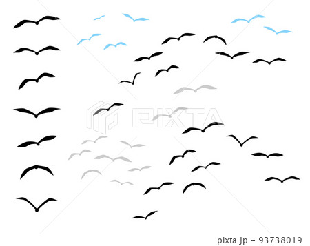 イラスト 鳥 正面 飛ぶの写真素材