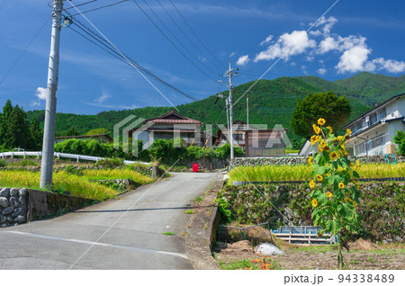 向日葵 夏 ノスタルジック 田舎の写真素材