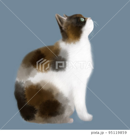 動物 猫 イラスト 横顔の写真素材 動物 猫 イラスト 横顔の写真素材