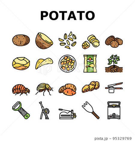 6,163+ Potato Illustrations: Royalty-Free Stock Illustrations - PIXTA