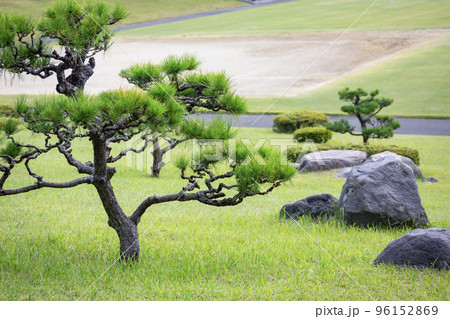 日本庭園 庭 庭園 松の写真素材 - PIXTA