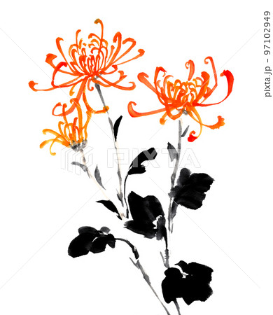 花 墨絵 水墨画 菊の写真素材 - PIXTA