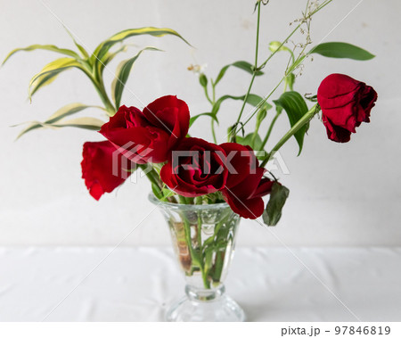 ガラスの花瓶に生けた赤いバラのイメージ