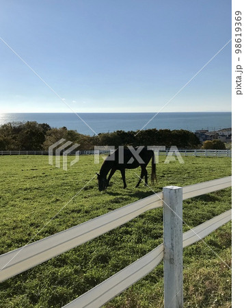 馬のいる景色の写真素材 - PIXTA