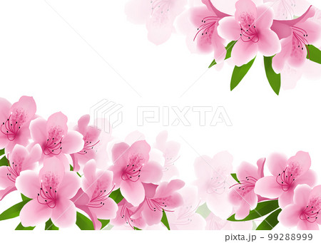 花 フレーム ツツジ つつじ 植物のイラスト素材 - PIXTA