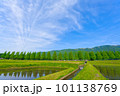 滋賀県】5月・田植えが終わった水田と新緑の里山風景の写真素材