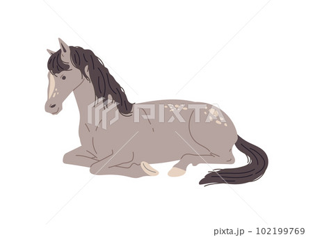 動物 座る 馬 自然のイラスト素材 - PIXTA