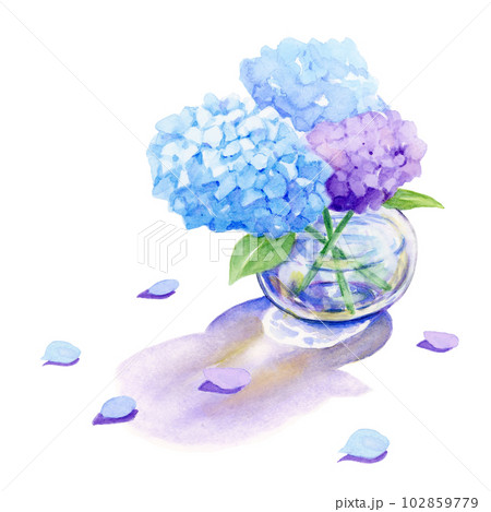 花瓶 水彩画 花のイラスト素材 - PIXTA