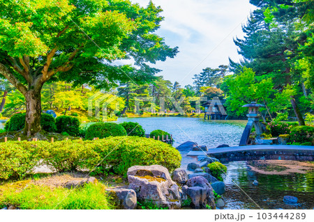 庭 日本庭園 石橋 池の写真素材 - PIXTA