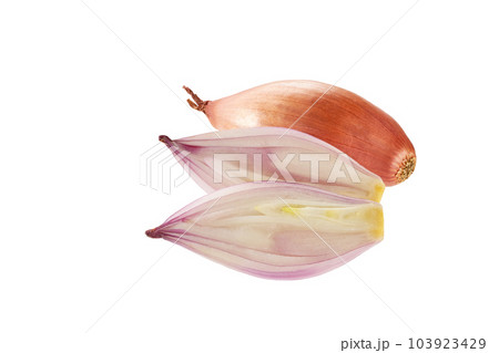 Onions being grated – License Images – 12337962 ❘ StockFood