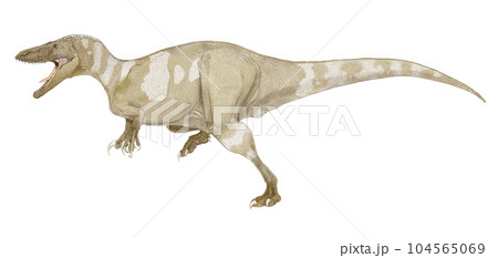 Tyrannosaurus Pixel art Drawing Digital art Isometric projection, t rex,  mammal, tyrannosaurus png