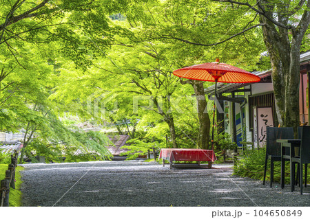 参道 三千院 傘 大原の写真素材 - PIXTA