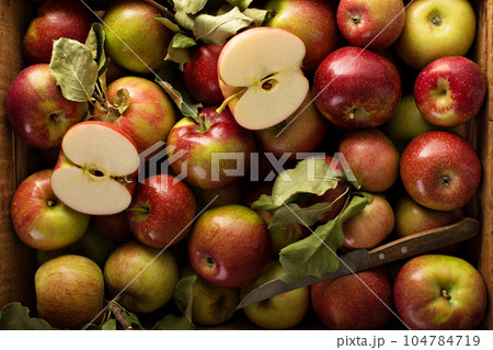 Small Apple Images – Browse 287 Stock Photos, Vectors, and Video